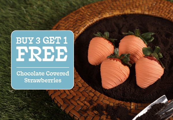 Buy 3 Get 1 Free
Chocolate Covered Strawberries